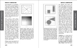 picture plane dynamics